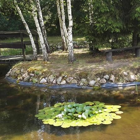 Siedlisko Gruszki Puszcza Bialowieska Narewka 외부 사진