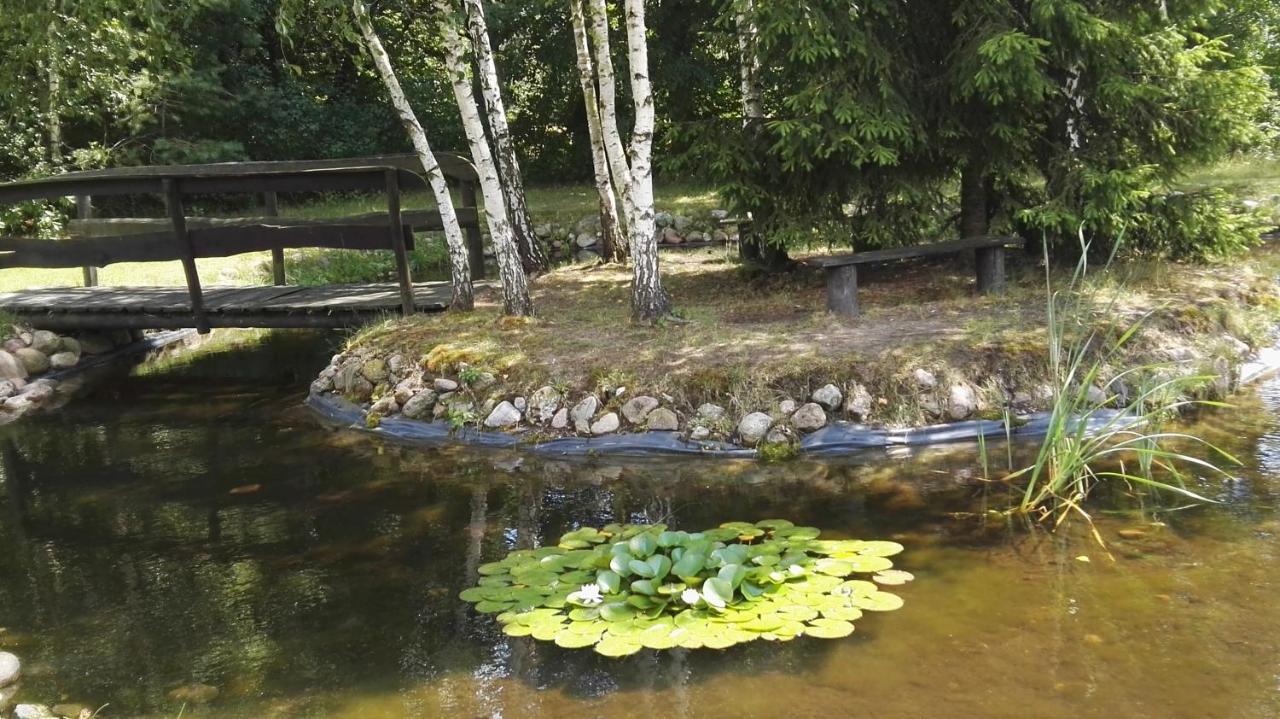 Siedlisko Gruszki Puszcza Bialowieska Narewka 외부 사진