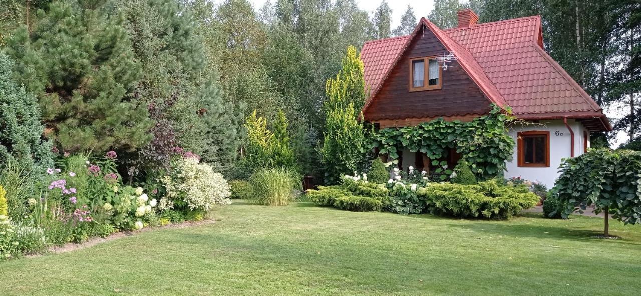 Siedlisko Gruszki Puszcza Bialowieska Narewka 외부 사진